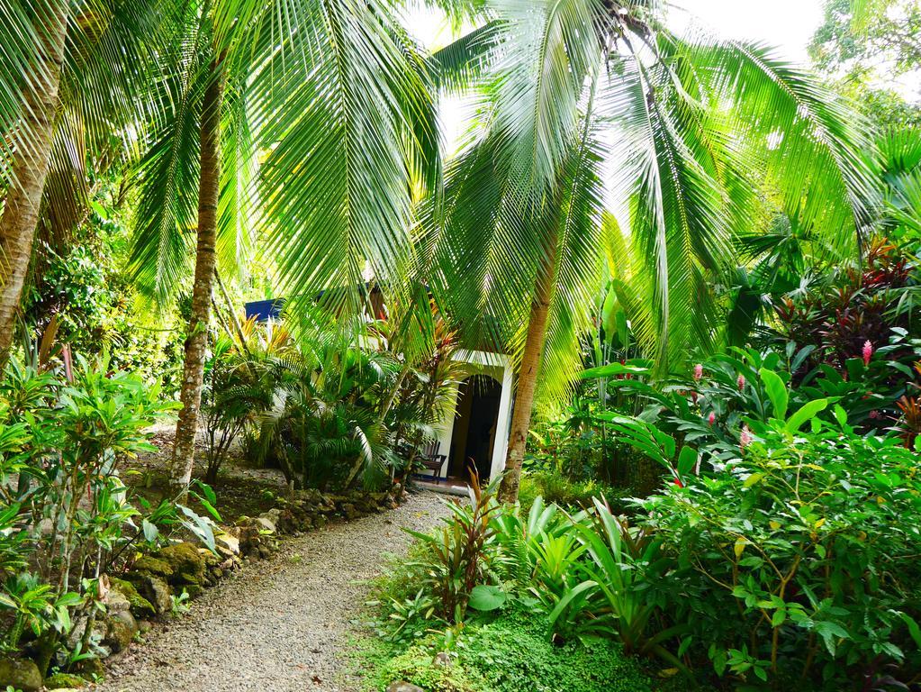 Cabinas Tito Cahuita Habitación foto